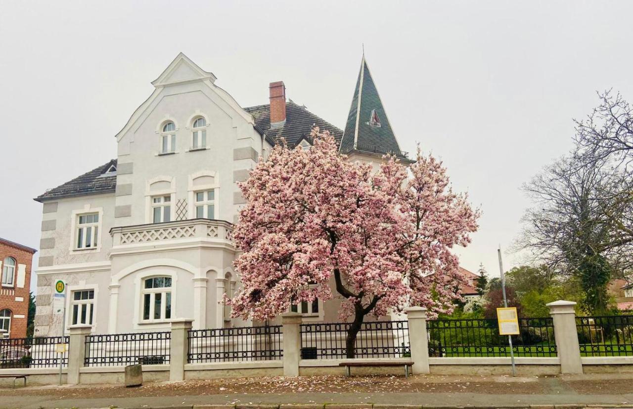 Boutique Appartement Torgau Eksteriør bilde