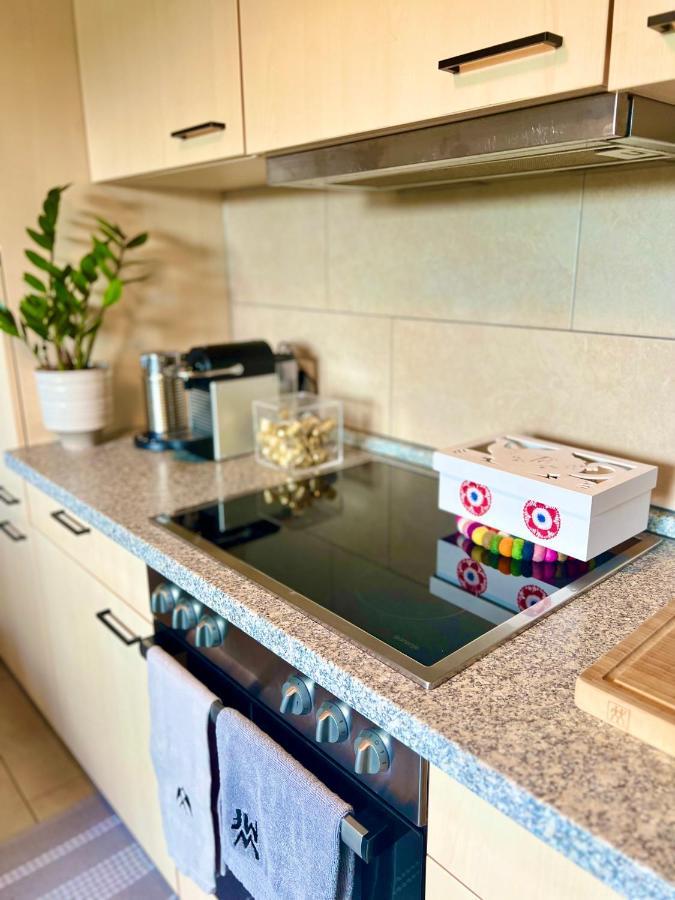 Boutique Appartement Torgau Eksteriør bilde